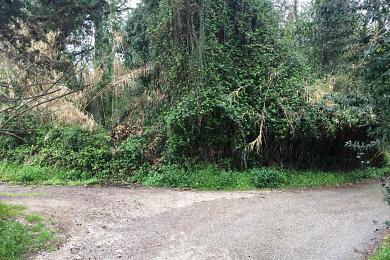 Land For Sale - ALEPOU, CORFU