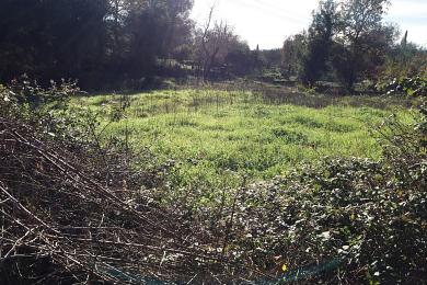 Land For Sale - KATO KORAKIANA, CORFU