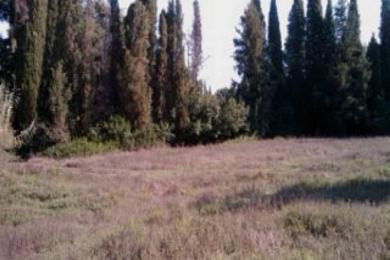 Land For Sale - AFRA, CORFU