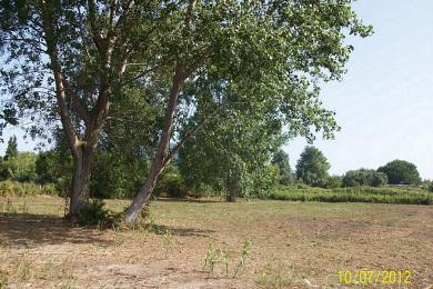 Land For Sale - SOUTH CORFU, CORFU