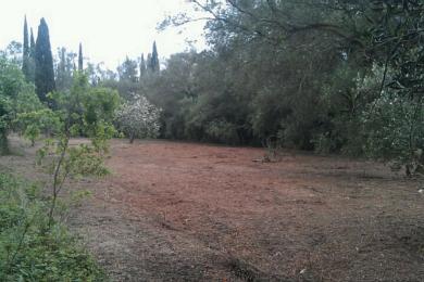 Agricultural Land Plot For Sale - KOURAMADES, CORFU