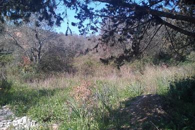 Land For Sale - GOUVIA, CORFU