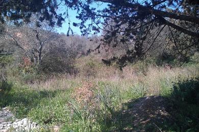 Land For Sale - GOUVIA, CORFU