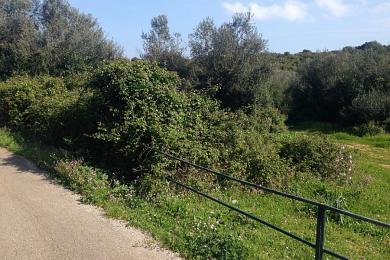 Land For Sale - VORIA KERKYRA, CORFU