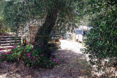 Land For Sale - PAXI, PAXOS