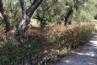 Land For Sale - PAXI, PAXOS