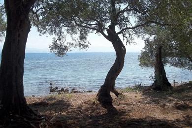 Land For Sale - CORFU, CORFU