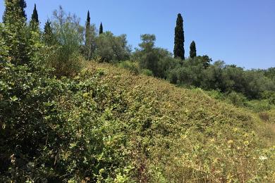 Land For Sale - GOUVIA, CORFU