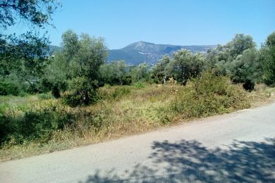 Land For Sale - KOMMENO, CORFU