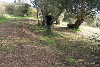 Land For Sale - GARDELADES, CORFU