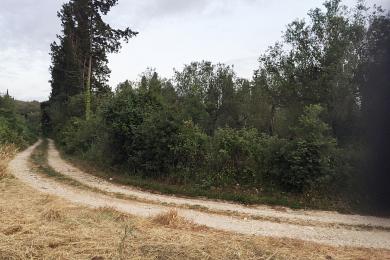 Land For Sale - RHODA KAROUSADON, CORFU