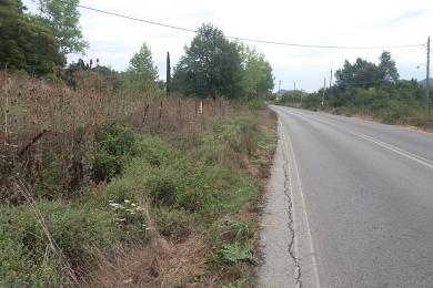 Land For Sale - LIVADI ROPA, CORFU