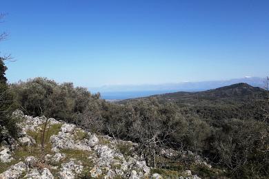 Land For Sale - VORIA KERKYRA, CORFU