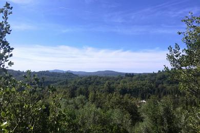 Land For Sale - ANO KORAKIANA, CORFU