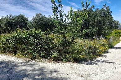 Land For Sale - CORFU, CORFU