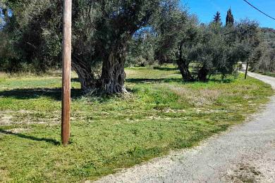 Land For Sale - CORFU, CORFU