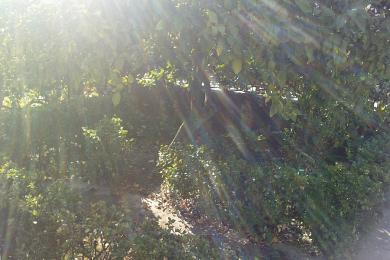House For Sale - CORFU, CORFU