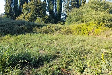 Land For Sale - CORFU, CORFU