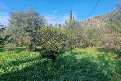 Agricultural Land Plot For Sale - MARATHIAS, CORFU
