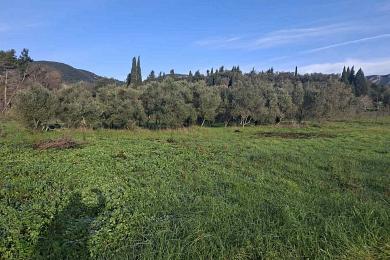 ��������  ���� ������ - �������� - ����������, �������