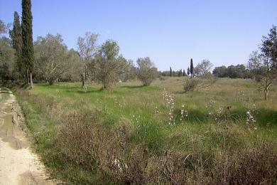 Agricultural Land Plot For Sale - LEFKIMMI, CORFU