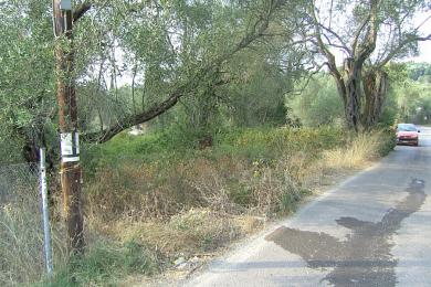 Agricultural Land Plot For Sale - CORFU, CORFU