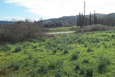 Agricultural Land Plot For Sale - KANAKADES, CORFU